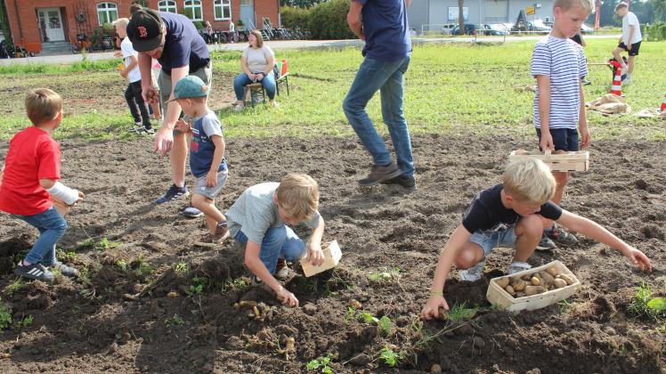 Kartoffelfest in Schwagstorf