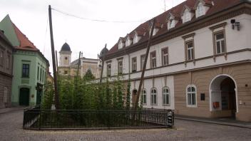 Zatec