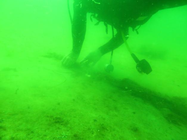 Taucher Jens Höptner misst noch einmal an der Fundstelle die verschiedenen Hölzer seines Fundes. Taucher Jens Höptner misst noch einmal an der Fundstelle die verschiedenen Hölzer seines Fundes.