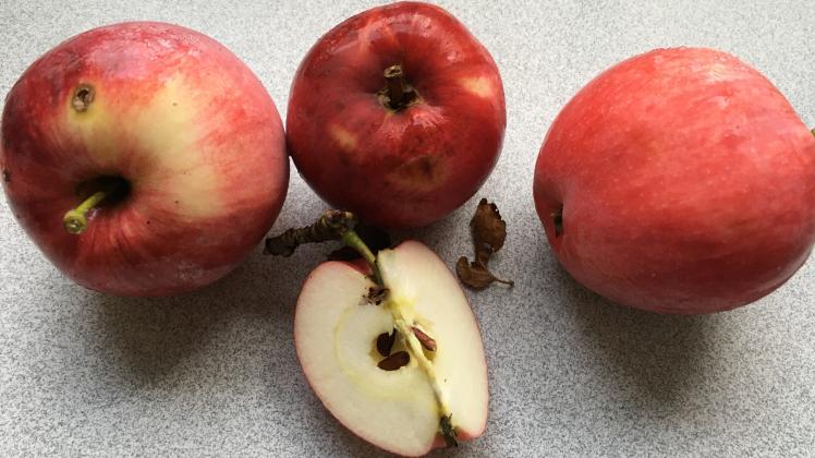 Wo kommen die leckersten Äpfel her?