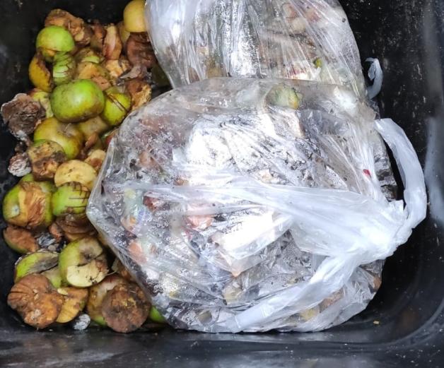 Plastiktüten sind immer noch das häufigste Problem im Bioabfall Plastiktüten sind immer noch das häufigste Problem im Bioabfall