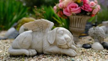 Tierfriedhof