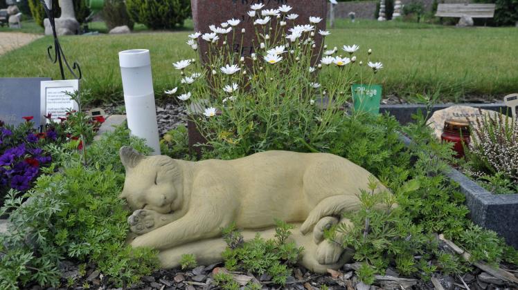 Foto von einem Katzengrab auf einem Tierfriedhof.