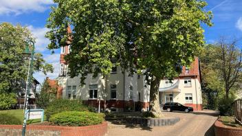 Die Platane vor dem Amt Hagenow Land soll nach dem Willen der Bürgermeister bleiben