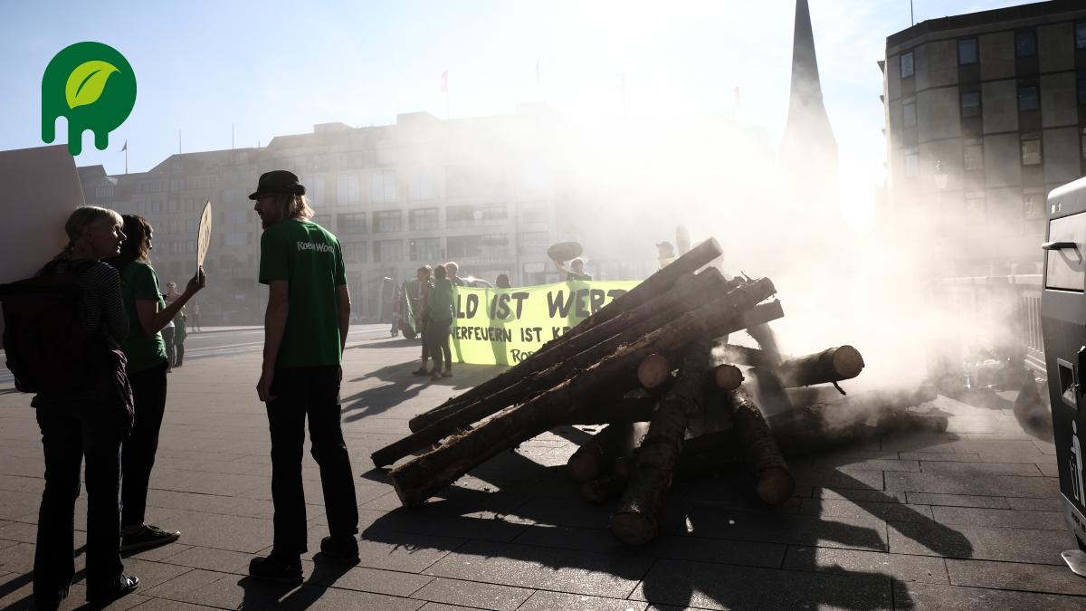 Hamburgs Umweltschützer Kämpfen Gegen Fernwärme Aus Holz Pellets Shz