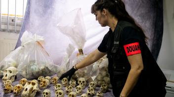Pariser Flughafenzoll beschlagnahmt Hunderte Affenschädel