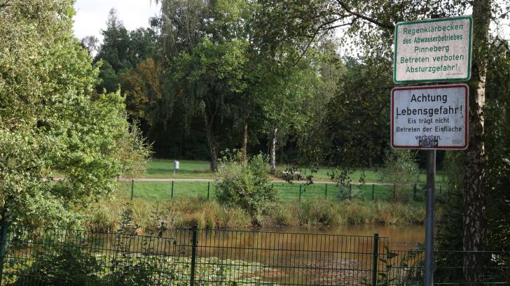 Hogenkamp