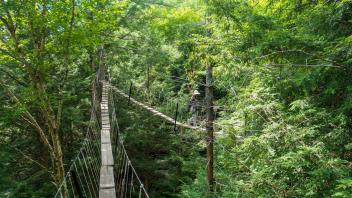 Canopy Walk