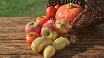 obst,gemüse,ernte,frucht,früchte,ernten *** fruit,vegetable,harvest,fruits,vegetables,harvests fx2-fto