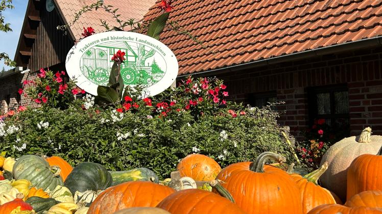 Traktorenmuseum MelleBuer Kürbisfest am 1. Oktober 2023