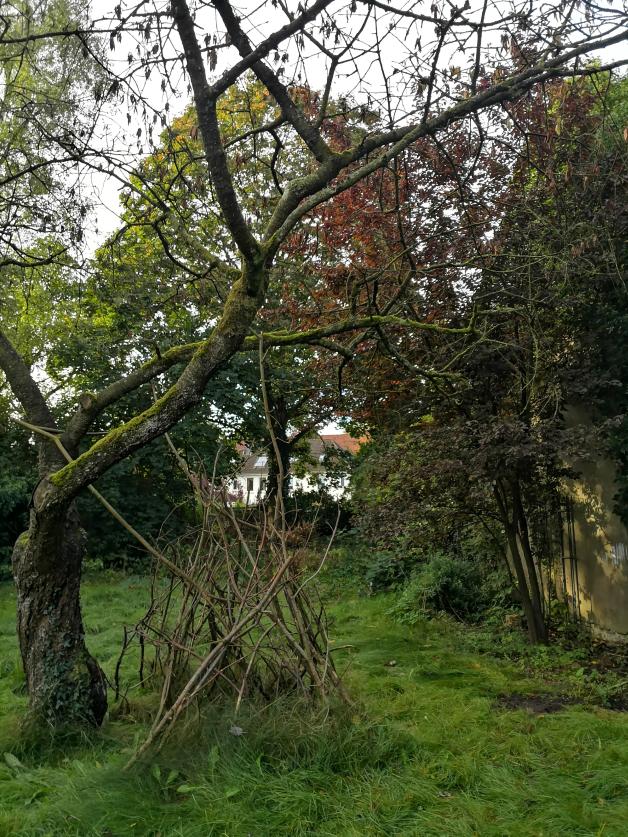 Was plant die Stadt Neumünster im Garten an der Färberstraße 35? SHZ