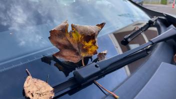 Jedes Jahr im Herbst steckt Laub unter den Scheibenwischern. Zufall oder doch die Tat nächtlicher Rowdys?