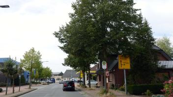 Neuenkirchen: Gemeinde muss vier Linden in der Lindenstraße fällen