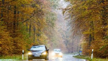 Auto fährt über Straße zwischen bunten Bäumen.