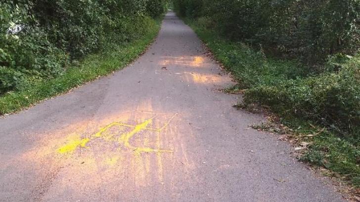Unbekannte haben auf den Rundweg am Dieksee in Lingen Hakenkreuze gesprüht.