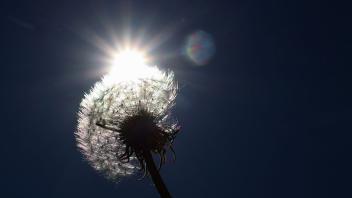 Sonniges Wetter
