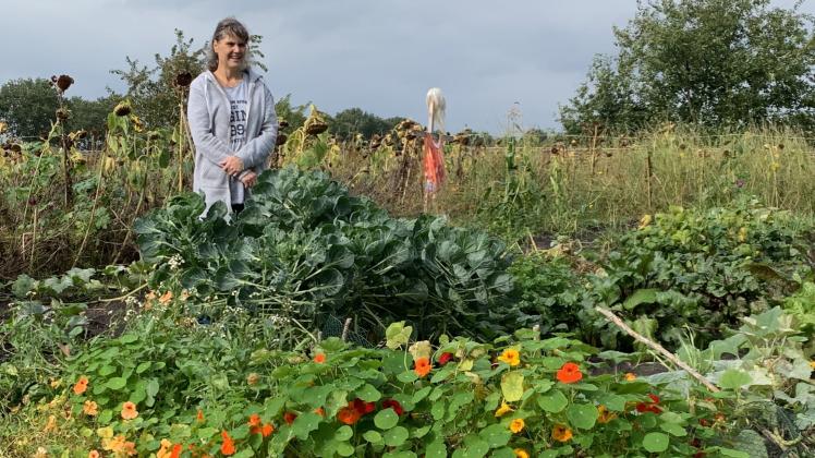 Die Mieter im Kropper Gemüsegarten freuen sich über gute Erträge SHZ