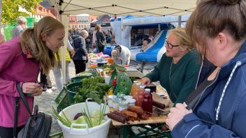 2. Regionalmarkt Plau am See