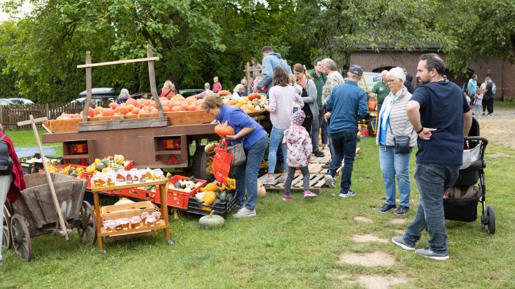 Kürbisfest 2023 Der Herbst hält Einzug am Meesdorfer Bergsiek NOZ