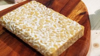 Tempeh liegt als Stück auf einer Holzplatte