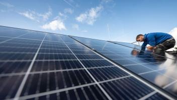 Solarbranche