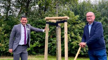 Stieleiche Rellingen Trampe Claussen