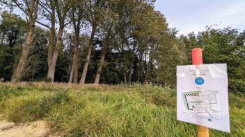 Das Grundstück Nummer 16 liegt am nördlichen Rand des Baugebiets Neuwerk-West in Rendsburg Richtung Obereider. Hier soll der Grünstreifen möglichst naturnah bleiben.