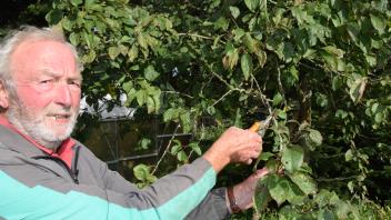 Alf Marten ist Vorsitzender im Kleingartenverein Barkelsby. Er macht seinen Garten winterfest, in dem er bei den Obstbäumen einen leichten Rückschnitt vornimmt.  Wenn Kartoffeln, Möhren, Kohlrabi und Sellerie aus der Erde sind, gräbt er den Garten für den Winter um, er macht ihn „schwarz.“