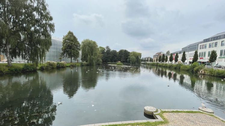 Neumünster Stadt will Teich ausbaggern wohin mit dem Aushub?