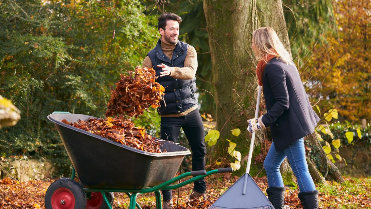 Gartenwelt Emsbüren Gartenarbeit im Herbst NOZ