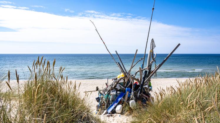 Nationalpark Und Meeresbericht: Nord- Und Ostsee Geht Es Schlecht | SHZ