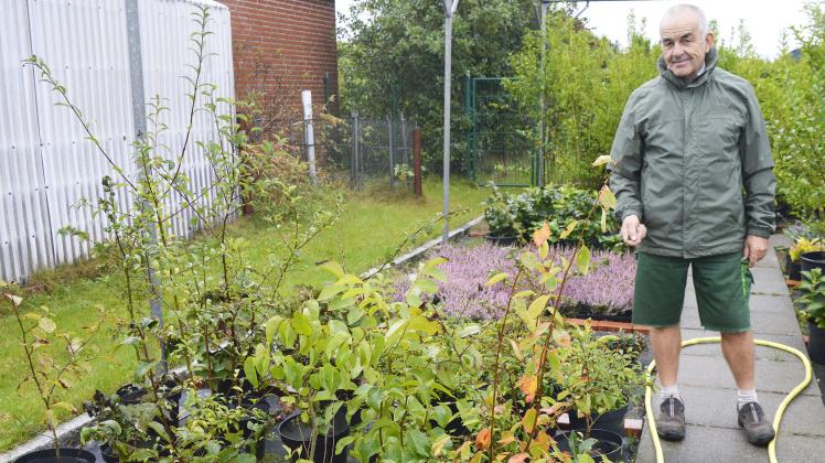 Sylter Gärtnermeister Ernst Otto Petersen pflanzt 180 Bäume