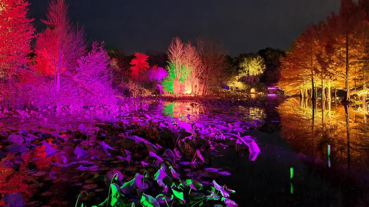 Zahlreiche Aussteller beim Herbstfest im Ellerhooper Arboretum