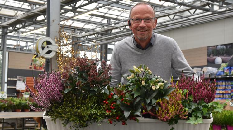 WinterPflanzen Gartencenter aus der Region geben Tipps