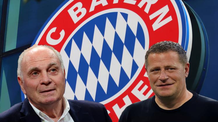Fc Bayern München: Ärger Um Hsv Neuzugang Peretz: Jetzt Spricht Max Eberl - qve61iq