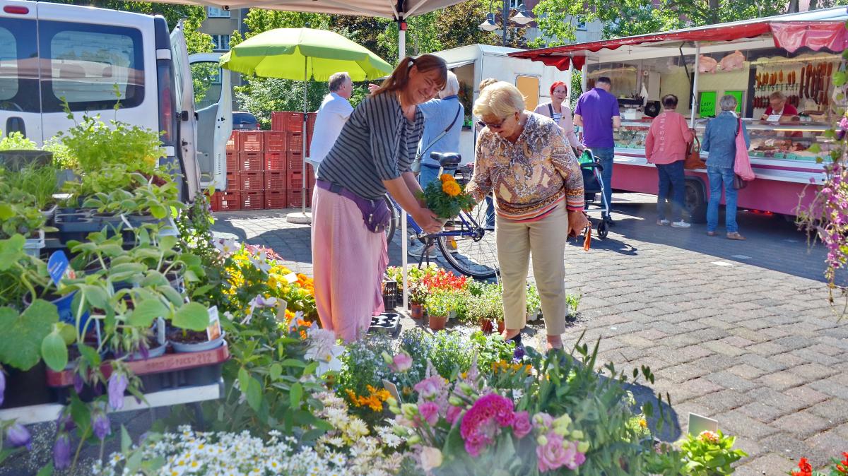 Die Meinung der Wittenberger zu ihrem Wochenmarkt ist gefragt SVZ