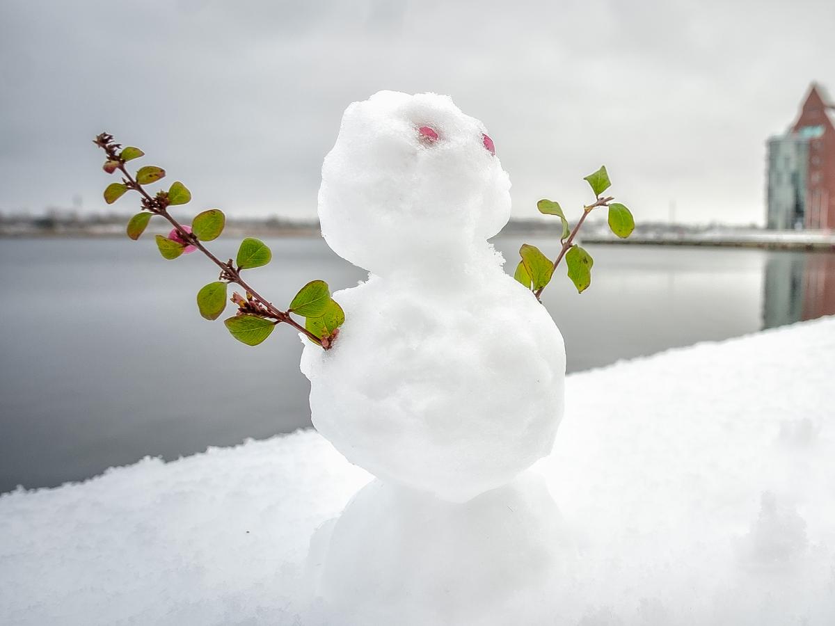 Weihnachtswetter: Gibt es 2023 weiße Weihnachten und Schnee