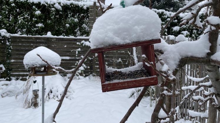 Produktbild von Vogelfutterstation Aus Metallrohr – Hängende Futterstation Für
