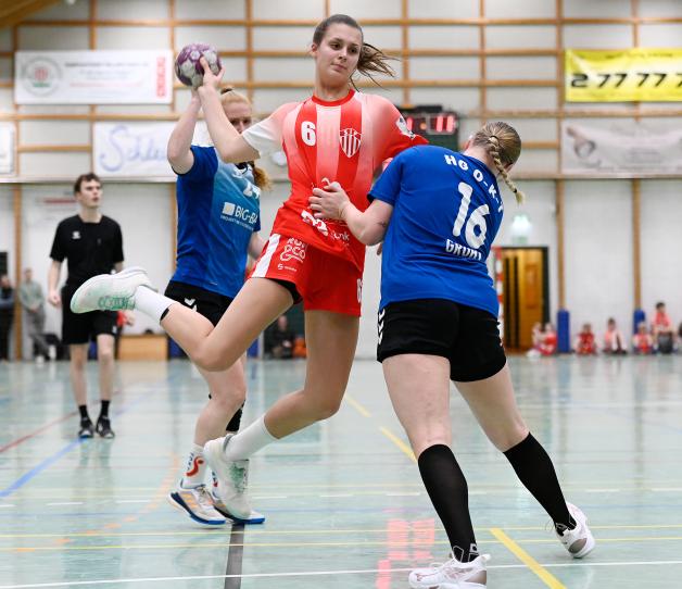 Handball-Oberliga: Schleswig IF Holt Punkt Gegen HG OKT | SHZ