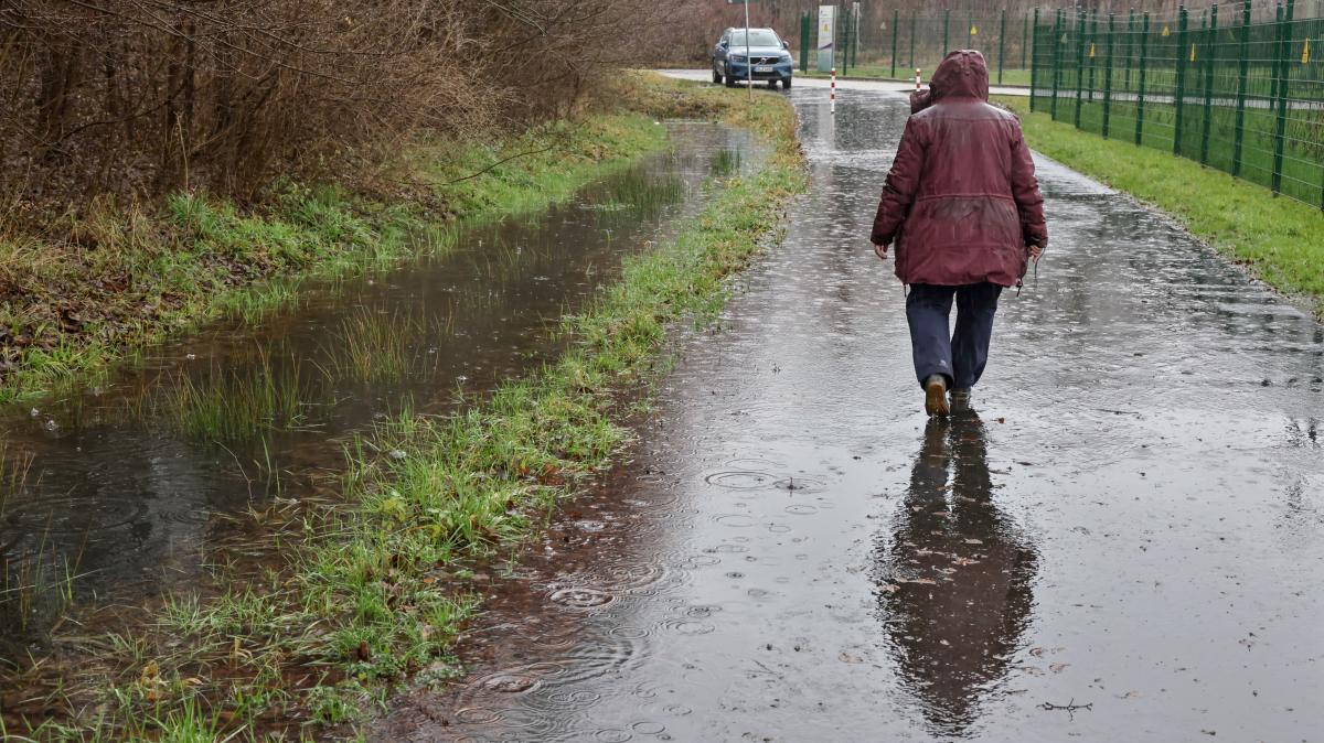 Osnabrücker Land In Der Krise? Die Auswirkungen Von Regen Zur Erntezeit Sind Verheerend! - a6gnf2z
