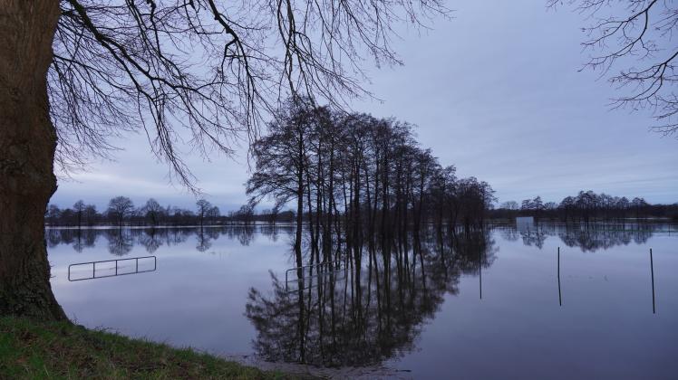 Bäume können umkippen Stadt Meppen warnt Spaziergänger