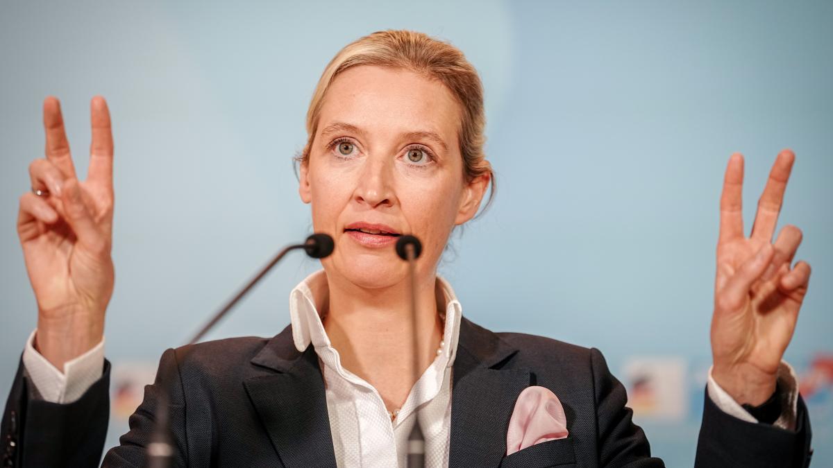 Plagiatsverdacht Gegen Alice Weidel Von Uni Zurückgewiesen | SVZ