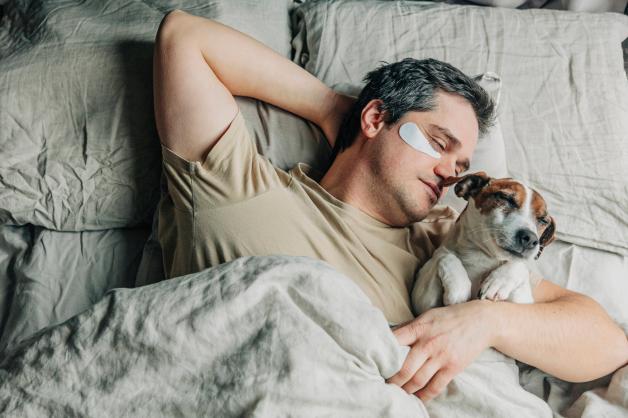 Fnf Grnde, warum Dein Hund mit im Bett schlafen darf