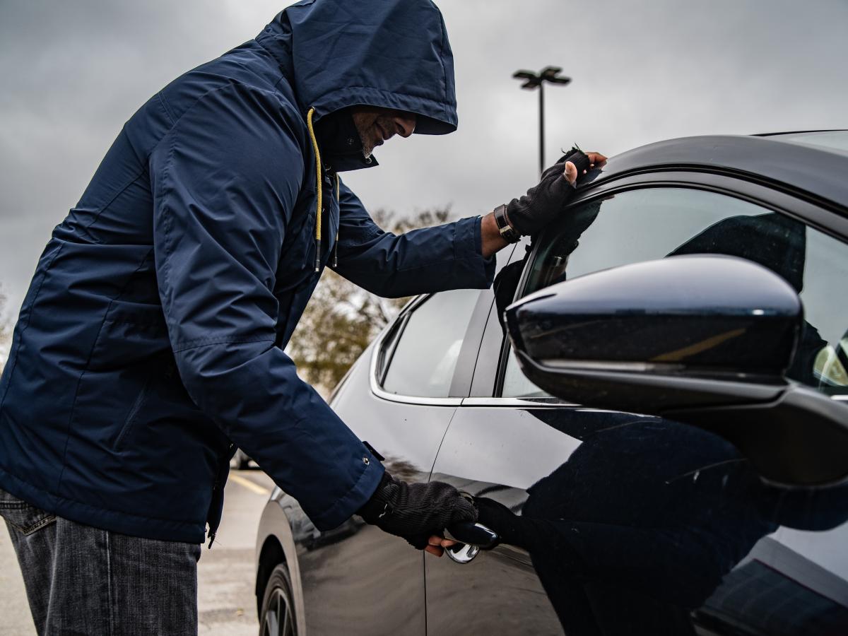 Welche Autos werden bevorzugt gestohlen?