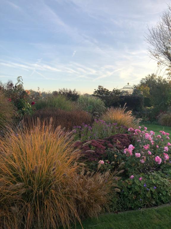 So sieht der Garten der Gartenbloggerin Katrin Iskam aus