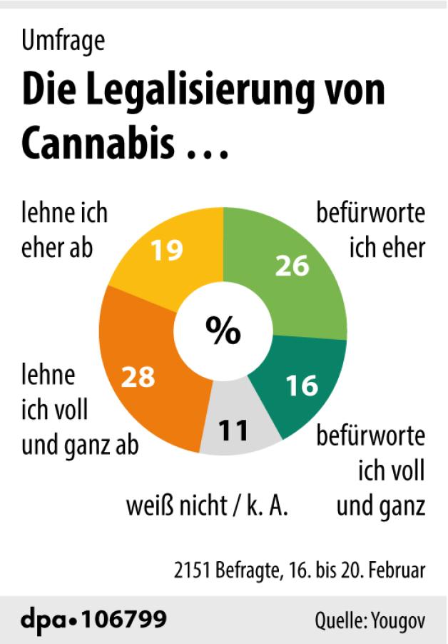 Diese Abgeordneten Haben Für Die Cannabis-Legalisierung Gestimmt | NOZ