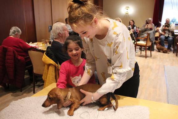 Bildergalerie: Die „vorzüglichen“ Dackel aus Groß Wittensee