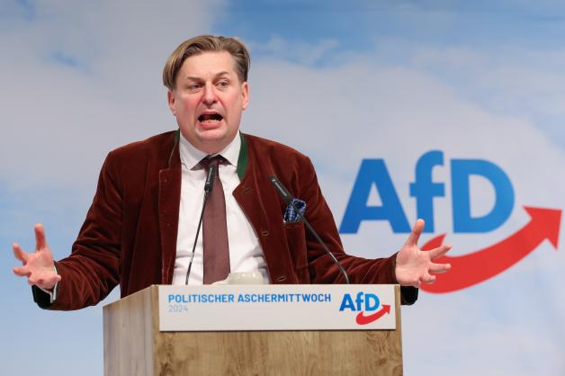 Von Der AfD Lernen? Darin Ist Die Partei Allen Anderen Voraus | NOZ