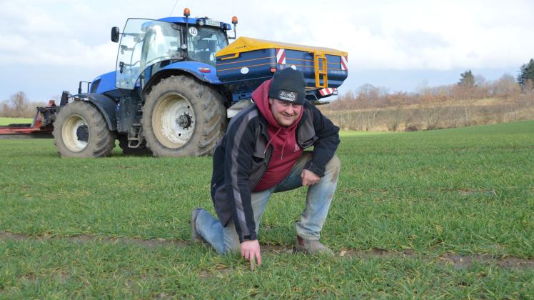 Dngesaison verschoben: Nasse Bden bremsen Bauern in Angeln aus