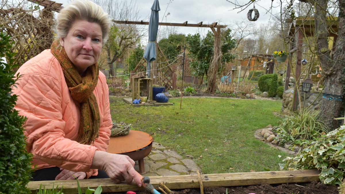 Gärtner aus Güstrow geben Tipps für KleingartenNeulinge NNN